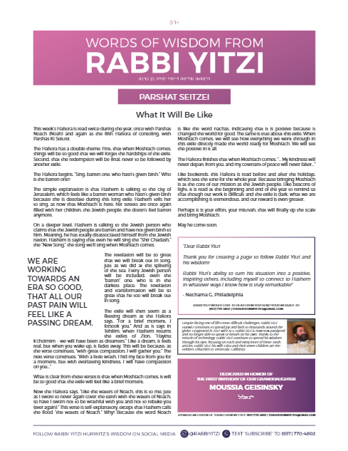 Words of Wisdom from Rabbi Yitzi — Parshas Ki Teitzei
