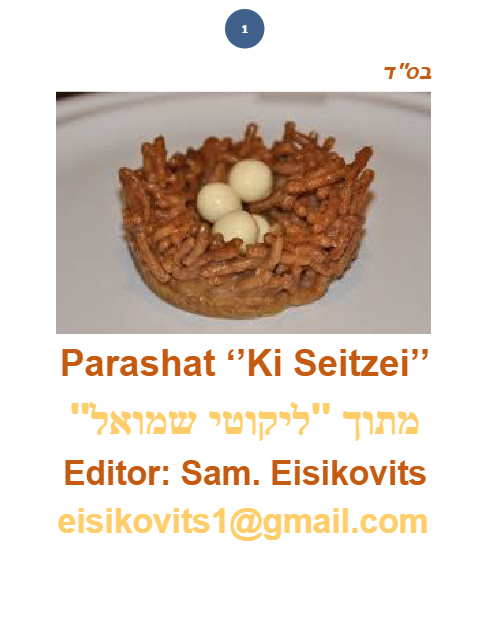 Parsha Plus — Parshas Ki Teitzei