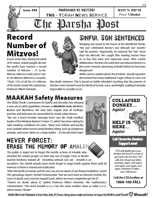 PDF Preview
