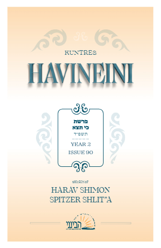 Havineini — Parshas Ki Teitzei