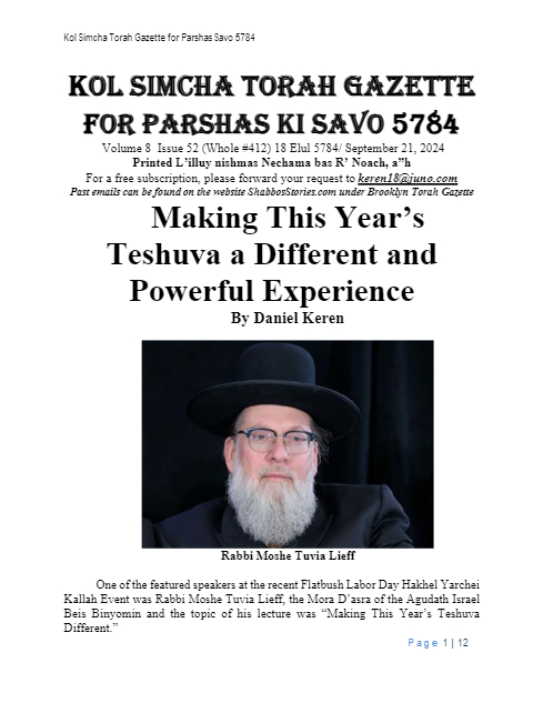 PDF Preview