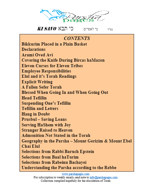 PDF Preview