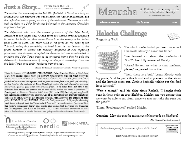 PDF Preview