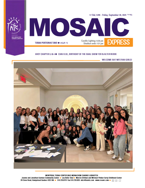 PDF Preview