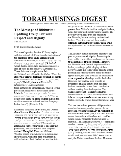 PDF Preview