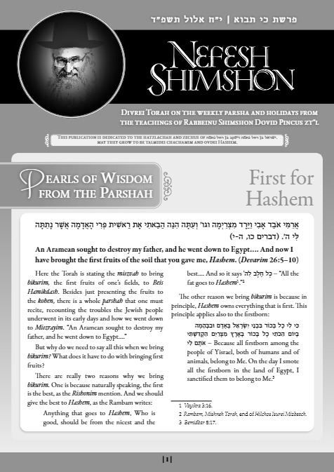 Nefesh Shimshon — Parshas Ki Savo