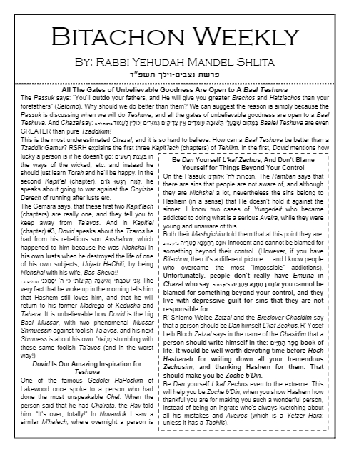 Bitachon Weekly — Parshas Nitzavim-Vayelech