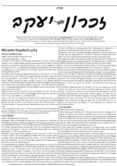 PDF Preview