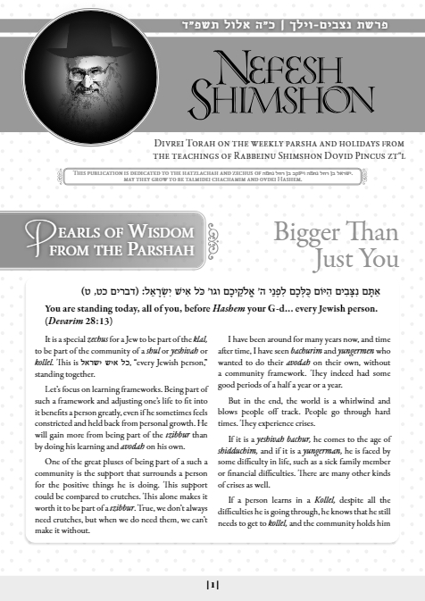 Nefesh Shimshon — Parshas Nitzavim-Vayelech