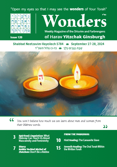 Wonders — Parshas Nitzavim-Vayelech
