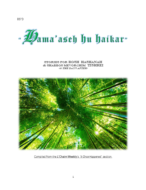 Hama'aseh Hu Haikar — Parshas Nitzavim-Vayelech