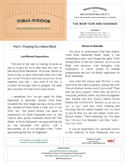 PDF Preview