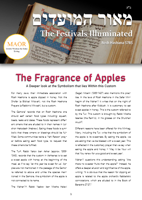 MAOR CENTRE publications  — Parshas Ha'azinu