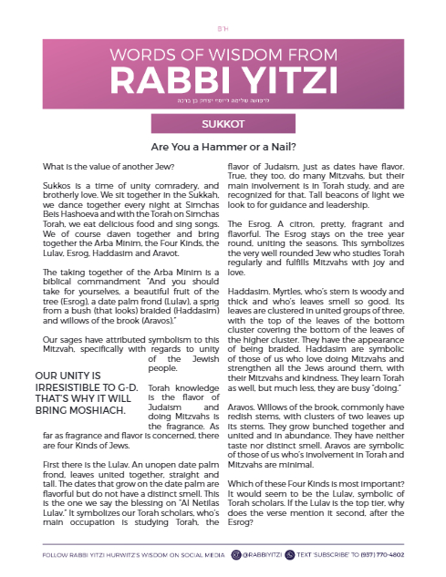 Words of Wisdom from Rabbi Yitzi — Parshas Sukkos