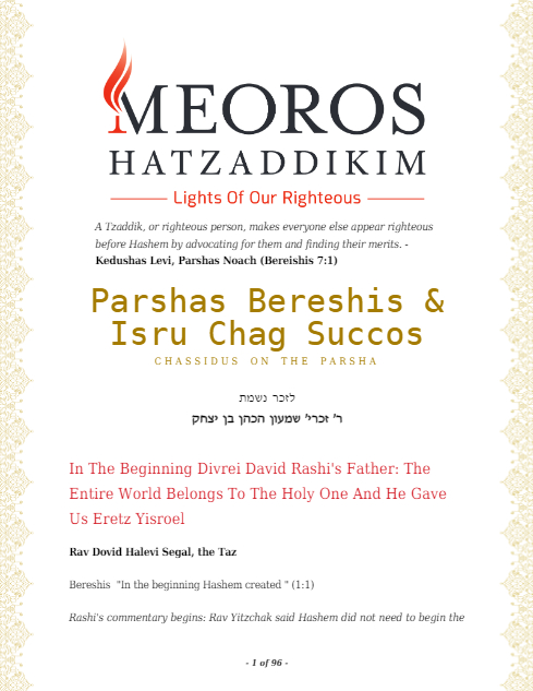 Me'oros Hatzaddikim — Parshas Noach
