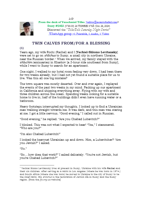 Timely Stories - Y.Tilles — Parshas Noach