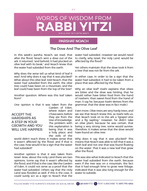 PDF Preview