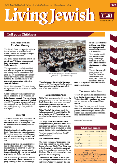 PDF Preview