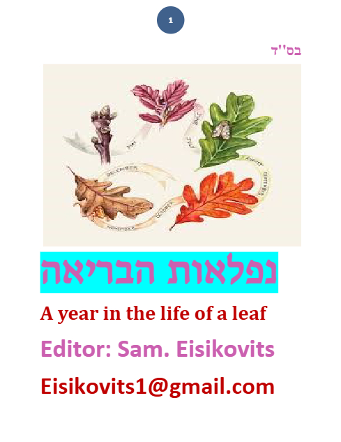 ליקוטי שמואל — Parshas Lech-Lecha