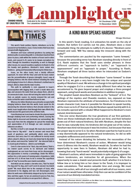 PDF Preview
