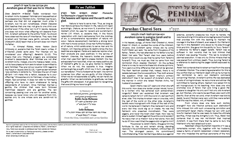 PDF Preview