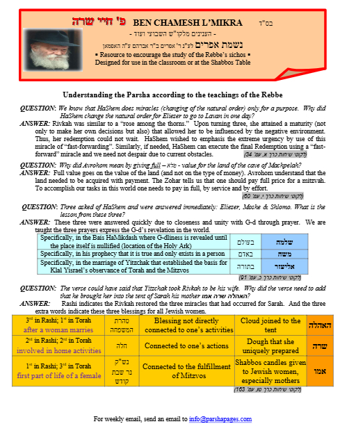 PDF Preview