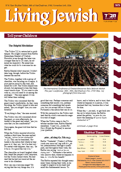 PDF Preview