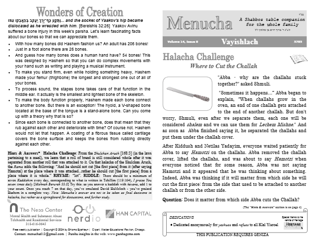 Menucha Magazine — Parshas Vayishlach