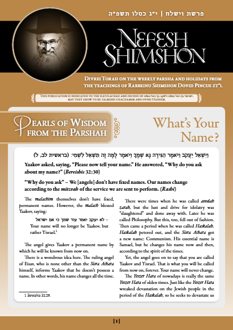 Nefesh Shimshon — Parshas Vayishlach