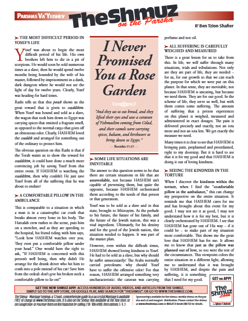 The Shmuz — Parshas Vayeishev