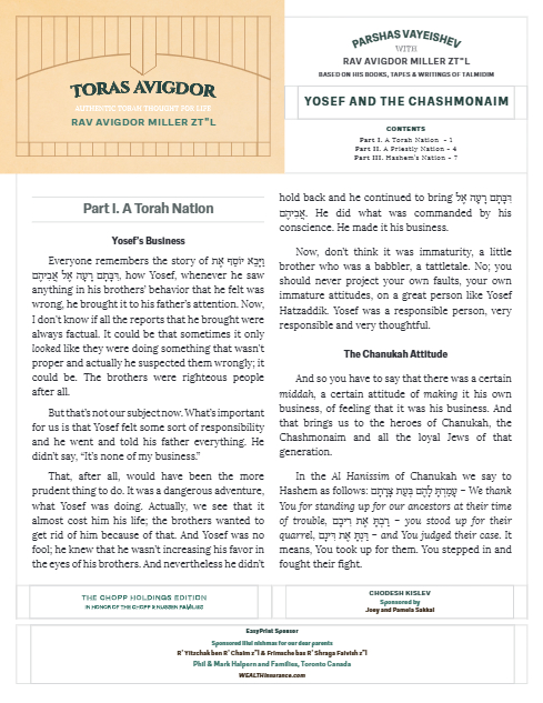 PDF Preview