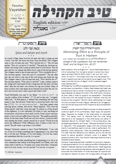 טיב הקהילה English — Parshas Vayeishev