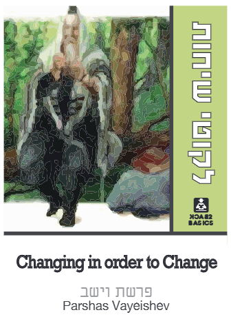Back 2 Basics — Parshas Vayeishev