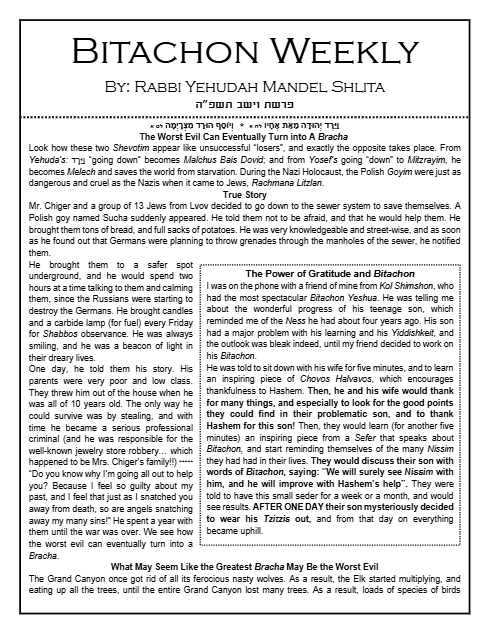 Bitachon Weekly — Parshas Vayeishev