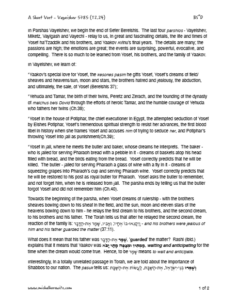 PDF Preview