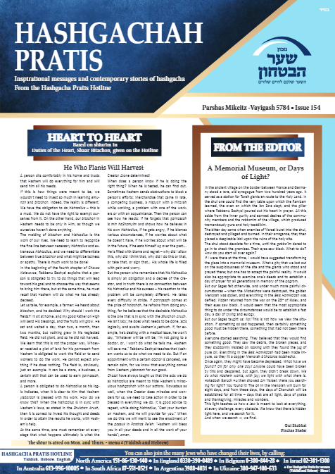 PDF Preview
