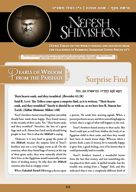 Nefesh Shimshon — Parshas Mikeitz