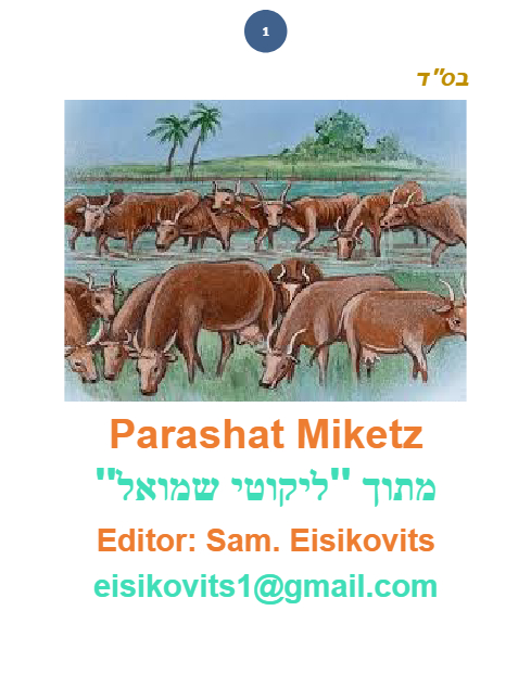 Parsha Plus — Parshas Mikeitz