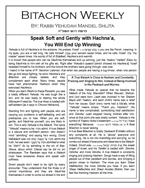 Bitachon Weekly — Parshas Vayigash