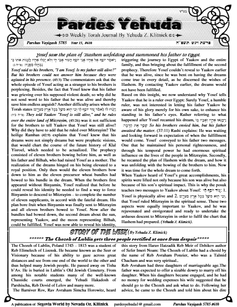 PDF Preview