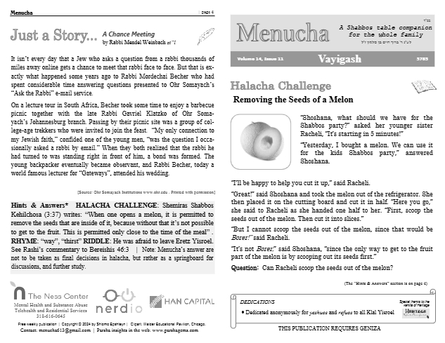Menucha Magazine — Parshas Vayigash