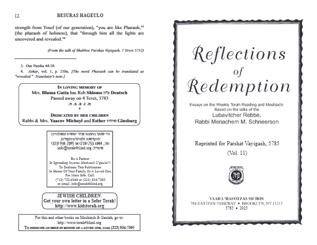 Reflections of Redemption — Parshas Vayigash