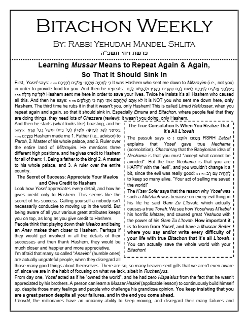 Bitachon Weekly — Parshas Vayechi