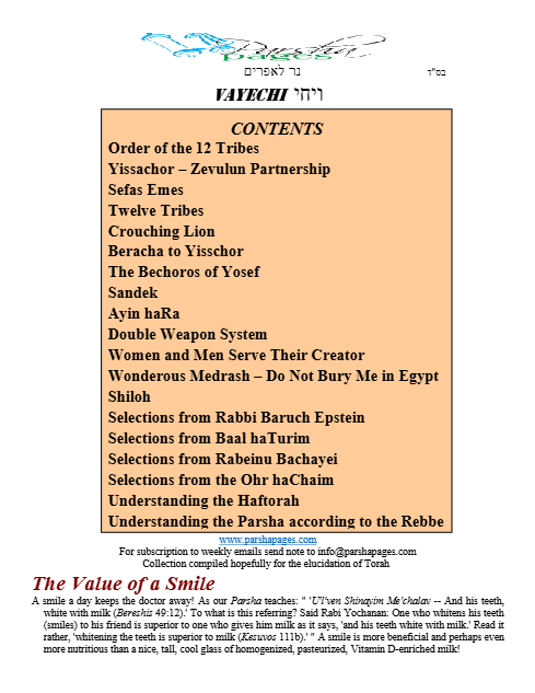 PDF Preview