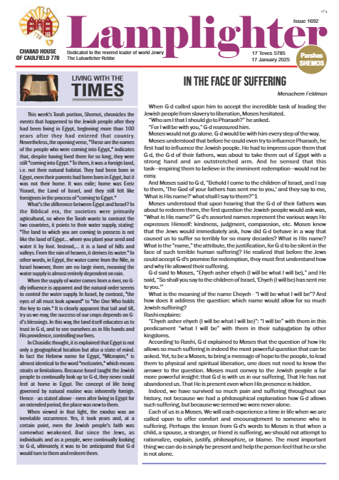 PDF Preview