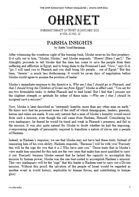 PDF Preview