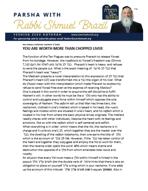 Parsha with Rabbi Shmuel Brazil — Parshas Va'eira