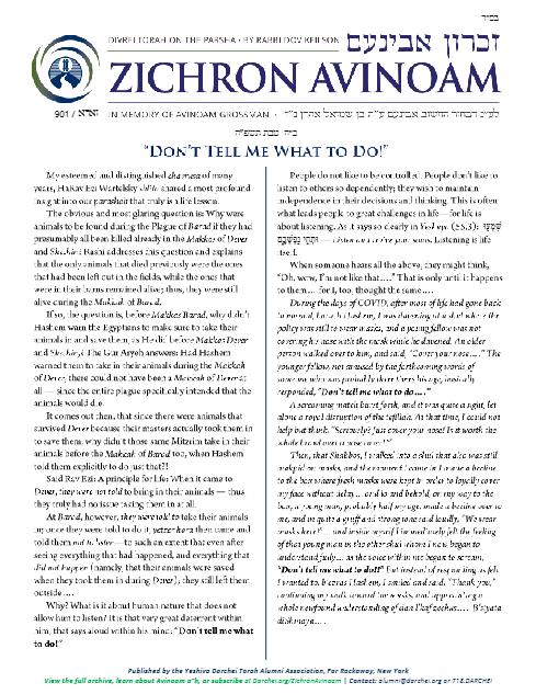Zichron Avinoam — Parshas Va'eira