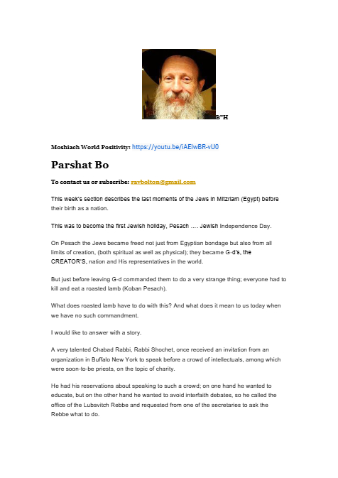 PDF Preview