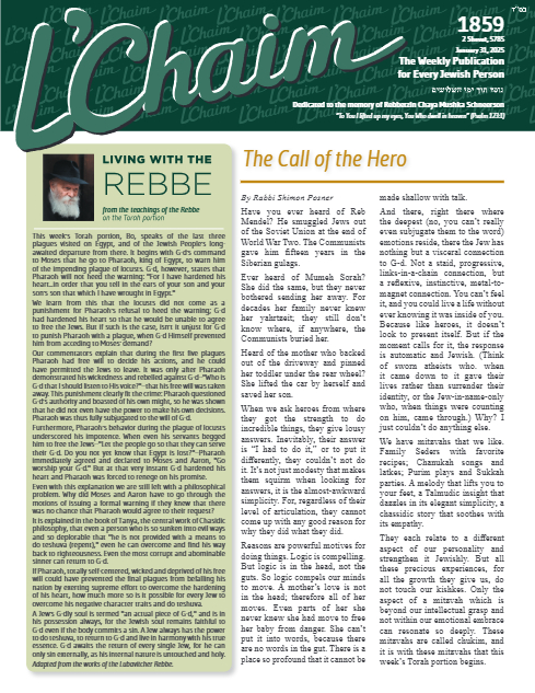 PDF Preview